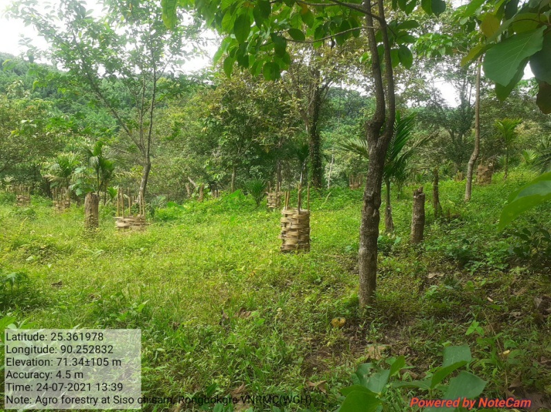 C:\Users\user\Downloads\agro siso chisam r.jpg